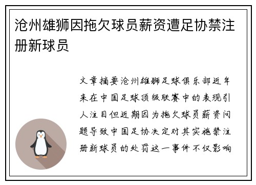 沧州雄狮因拖欠球员薪资遭足协禁注册新球员 沧州雄狮因拖欠球员薪资遭足协禁注册新球员